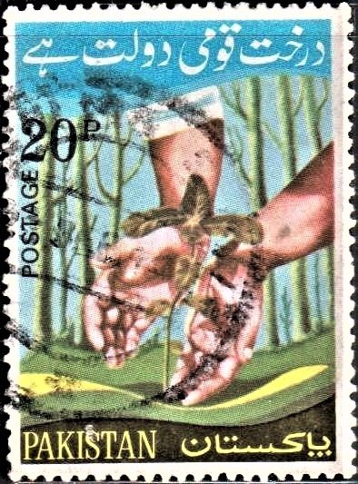 Pakistan Arbor Day 1974