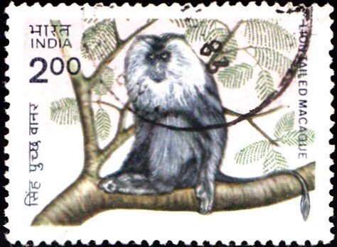 India Stamp 1983 image