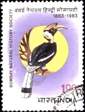 India Stamp 1983 pic