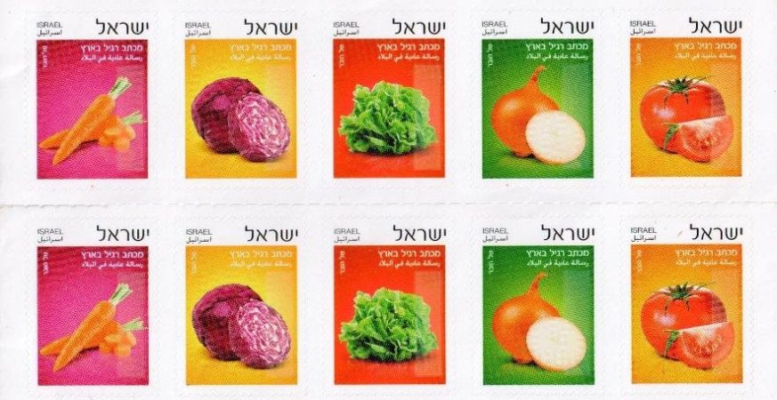 Tomato, Onion, Lettuce, Purple Cabbage, Carrot
