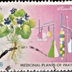 Pakistan on ECO Council of Ministers
