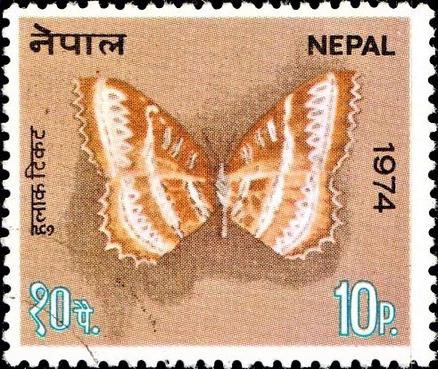 Red Lacewing