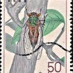 Ananda Kentish Coomaraswamy
