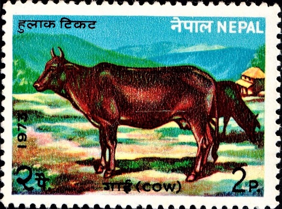 Hindu Goddess of Wealth : National Animal of Nepal