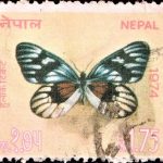 Nepal Flower Series 1976