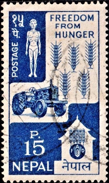 Food and Agriculture Organization (FAO)