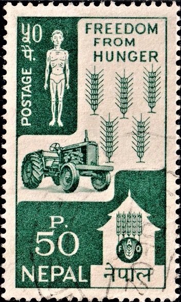 FAO : United Nations