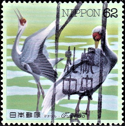 White-naped crane
