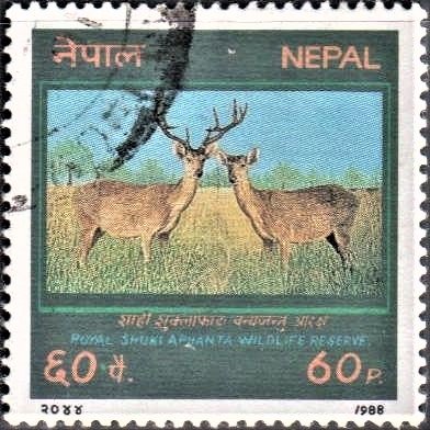 Royal Shuklaphanta Wildlife Reserve