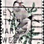 Nepal National Day 1968