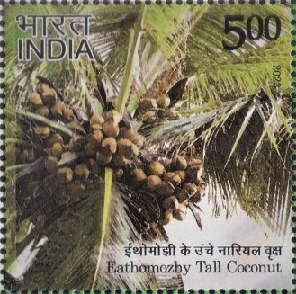 Kanyakumari, Tamil Nadu