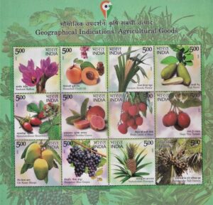 Geographic Indication for Agriculture