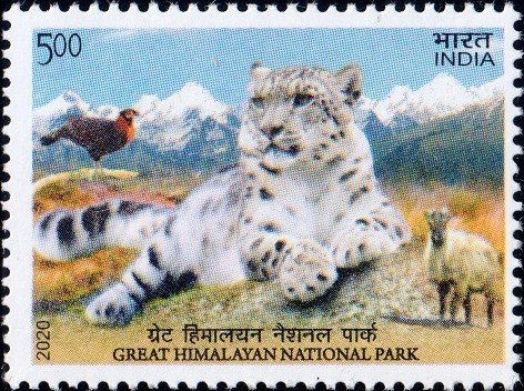 Snow Leopard
