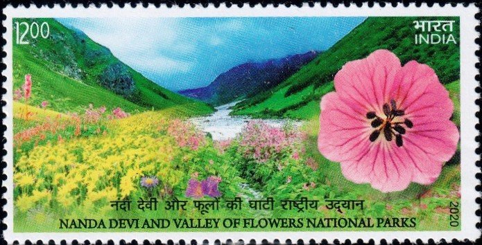 Sanjeevani Booti