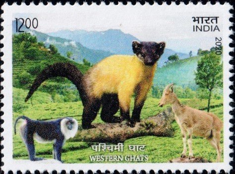 Sahyadri Mountain