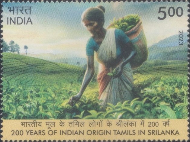 Indian Tamils in Sri Lanka