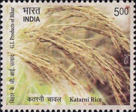 Bhagalpuri Katarni Rice