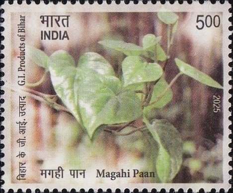 मगही पान